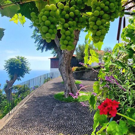 Torre Bella Gardens Βίλα Arco da Calheta  Εξωτερικό φωτογραφία