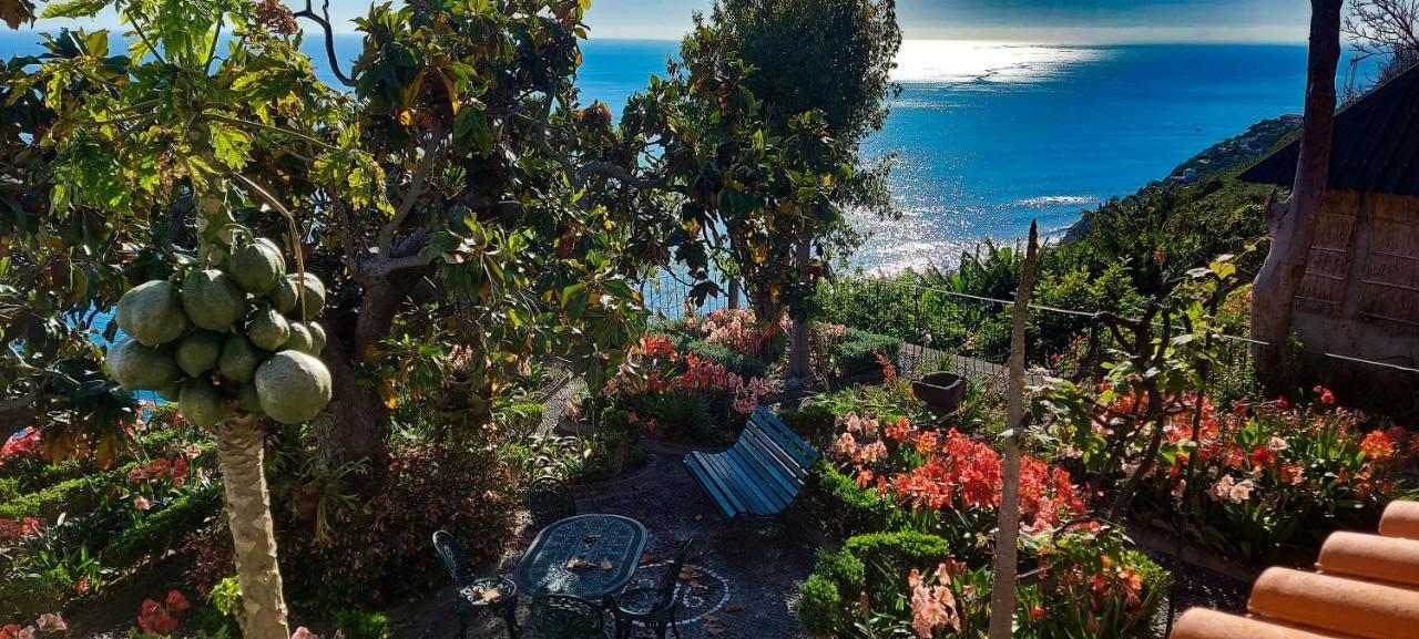 Torre Bella Gardens Βίλα Arco da Calheta  Εξωτερικό φωτογραφία