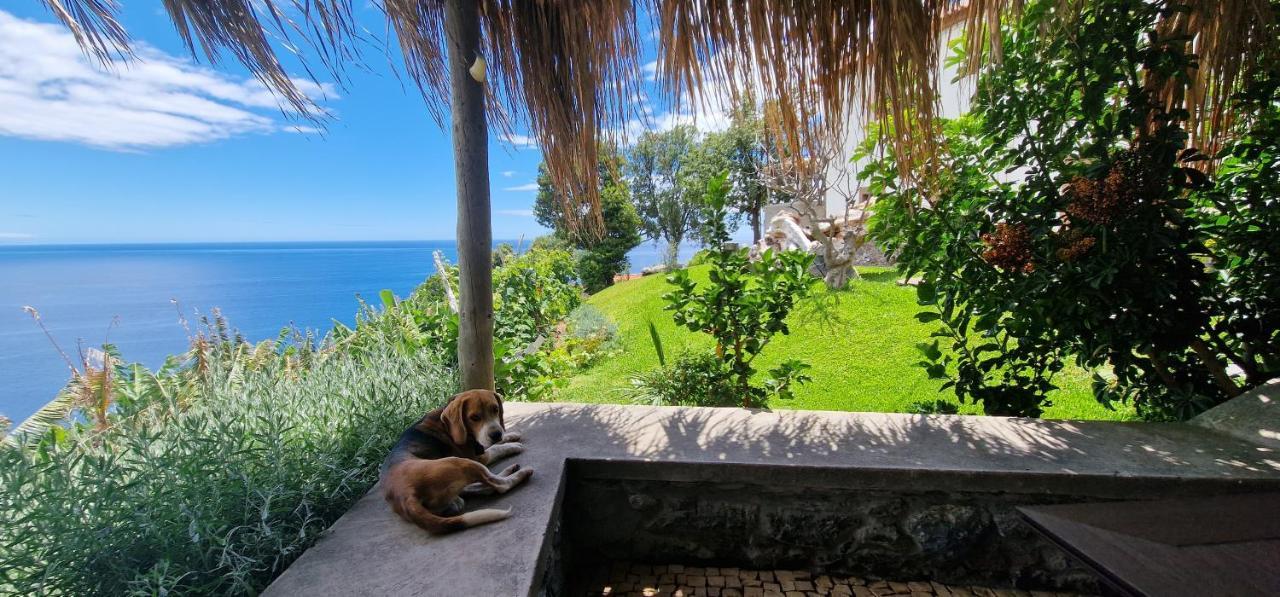 Torre Bella Gardens Βίλα Arco da Calheta  Εξωτερικό φωτογραφία