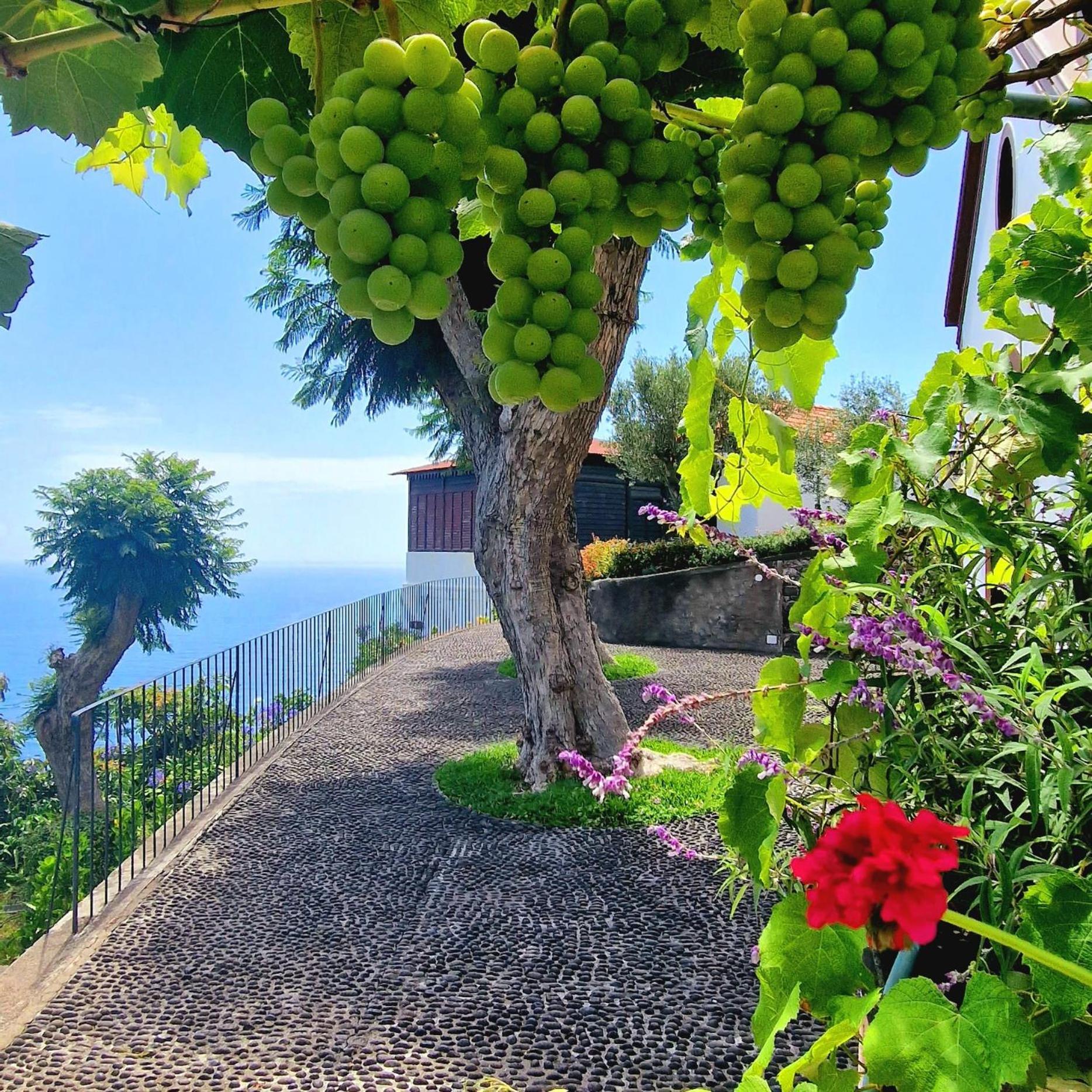Torre Bella Gardens Βίλα Arco da Calheta  Εξωτερικό φωτογραφία