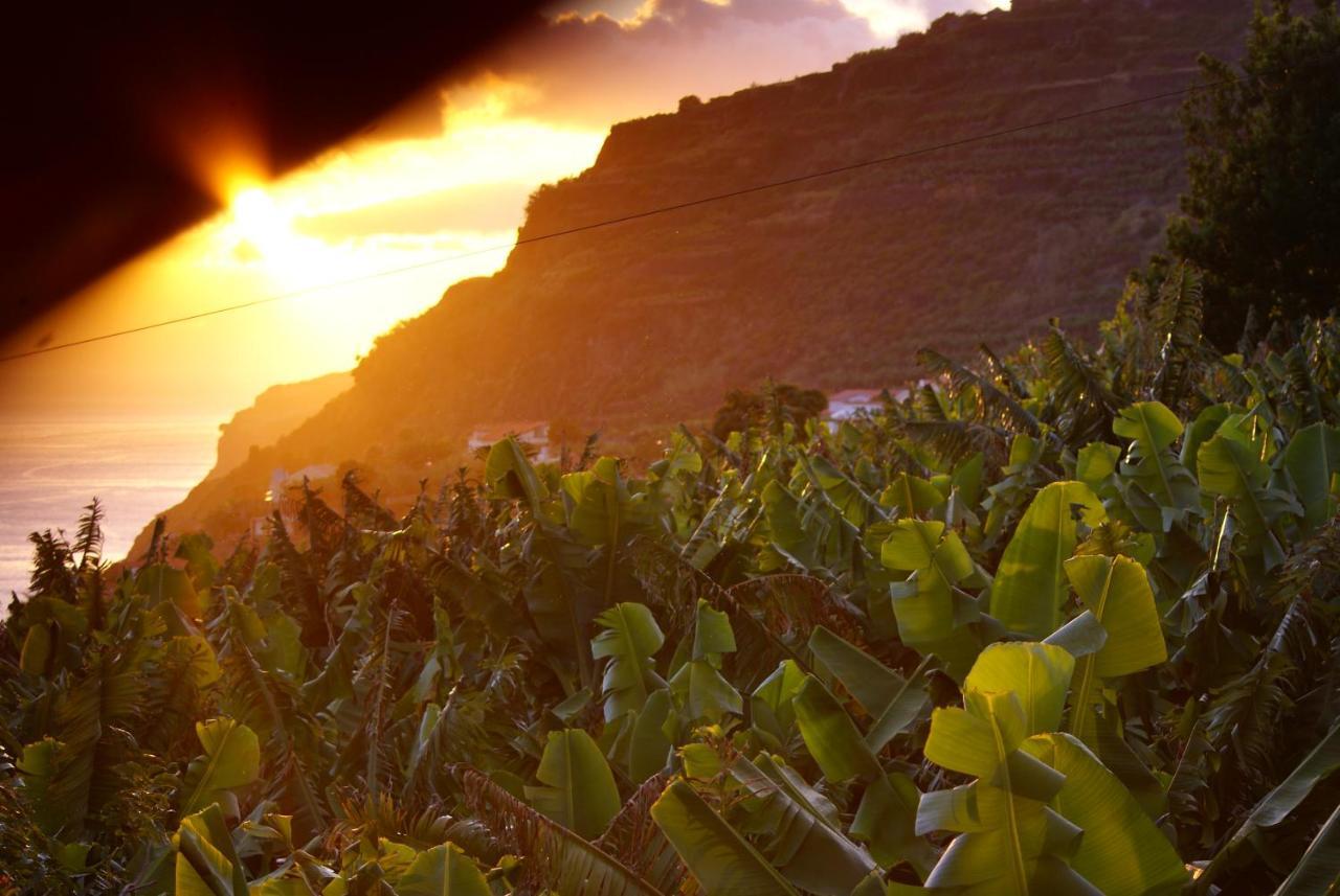 Torre Bella Gardens Βίλα Arco da Calheta  Εξωτερικό φωτογραφία